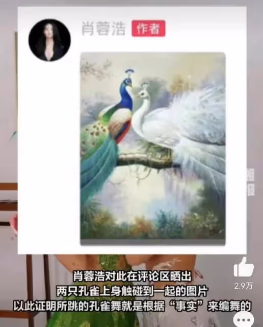 楊麗萍愛徒貼身跳孔雀舞惹爭議,其侄女小彩旗卻曬自拍心情大好