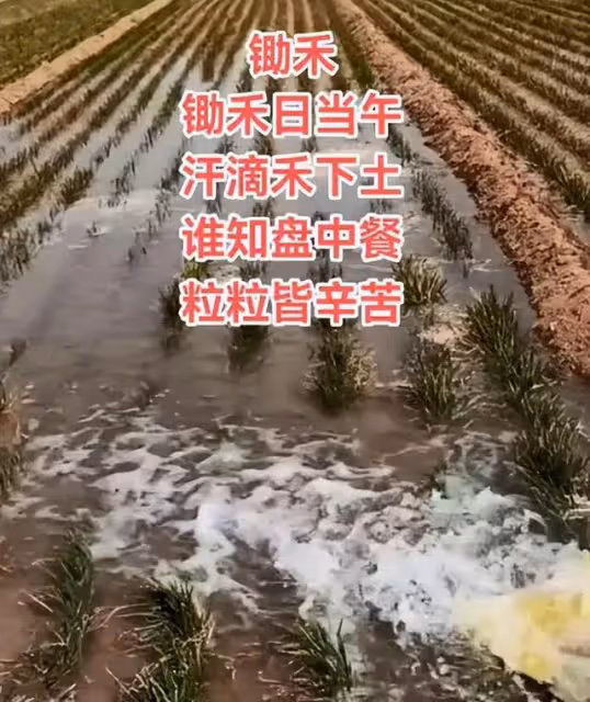 朱小偉感情陷質疑,陳萌稱三觀不合,將南下學習,不愛金錢愛公婆