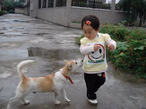父親要20萬彩禮，女兒說父親「賣女兒」，五年後回家女兒後悔不已
