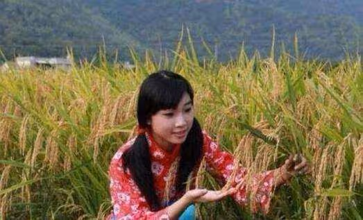 母親養老兒女不管，母親去世兒女要繼承房產，房子已經是別人的了