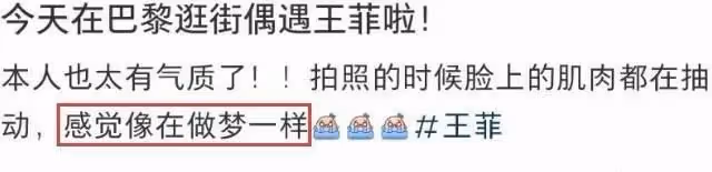 王菲:拎30塊錢手袋巴黎掃貨,謝霆鋒則在國內,與好友暢飲到深夜