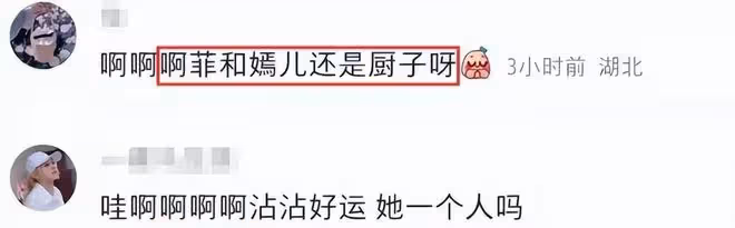 王菲:拎30塊錢手袋巴黎掃貨,謝霆鋒則在國內,與好友暢飲到深夜
