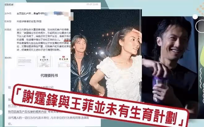 王菲:拎30塊錢手袋巴黎掃貨,謝霆鋒則在國內,與好友暢飲到深夜