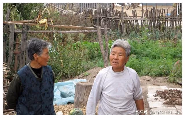 56歲的婆婆不顧兒子兒媳反對,執意要結婚,兒媳婦隨禮18.8萬元