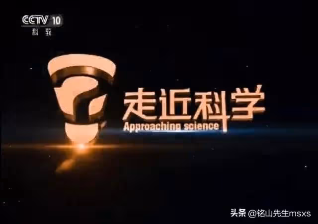 她是「央視恥辱」，曾揚言：在美國當狗，也比在中國當人強！