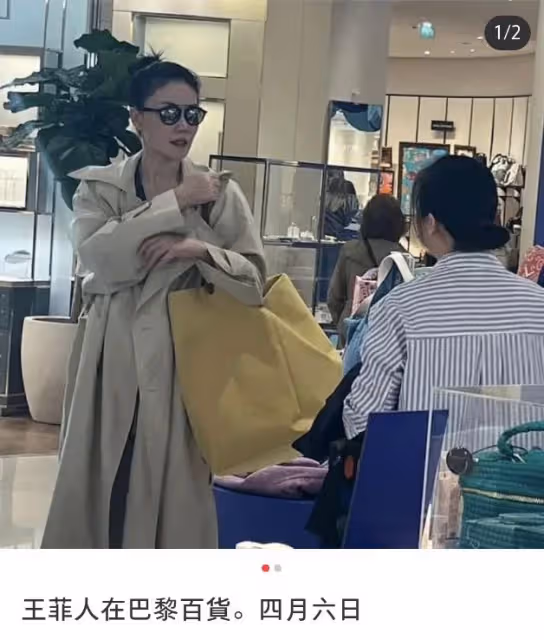 母女同游法國？王菲巴黎逛街再被偶遇，李嫣曬塞納河自拍也在巴黎
