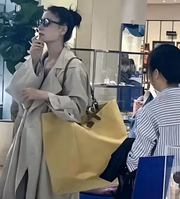 母女同游法國？王菲巴黎逛街再被偶遇，李嫣曬塞納河自拍也在巴黎