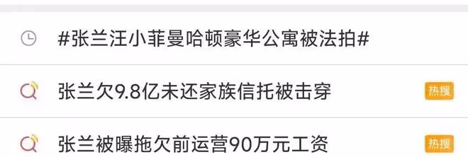 張蘭母子倆:被曝紐約千萬豪宅被法拍,因無人競標損失700萬美金