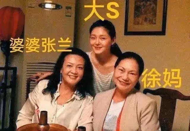 張蘭母子倆：被曝紐約千萬豪宅被法拍，因無人競標損失700萬美金