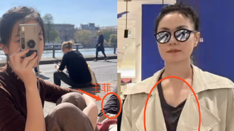 母女同游法國？王菲巴黎逛街再被偶遇，李嫣曬塞納河畔自拍也在巴黎