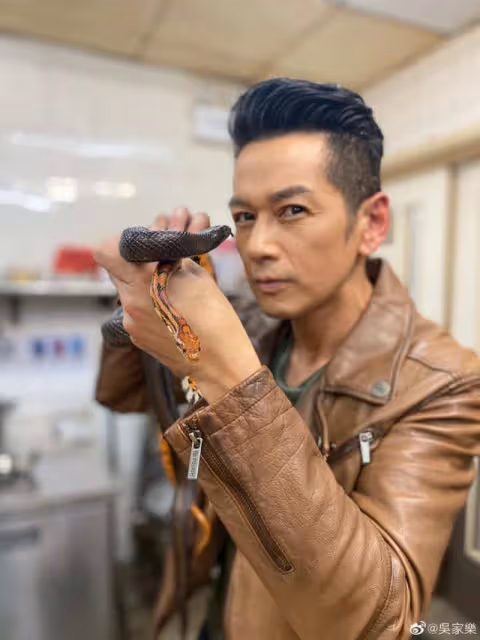 TVB「50億駙馬」新劇或再演boss,戲裡父女情感人,認監製為伯樂