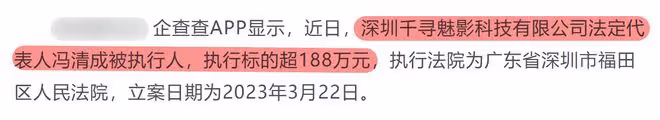 王寶強實慘!馮清成被執行人,3家公司吊銷超188W,疑步馬蓉後塵