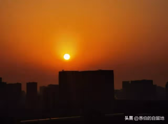 婆婆給孫子買學區房,卻對孫女置若罔聞,她的表現,讓我太寒心了