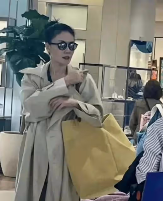 李嫣:曬塞納河畔出遊照,王菲狂試包包逛街掃貨,百元大衣有褶皺