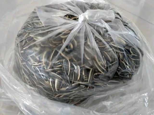 4歲女孩放學後,出門買糖時失蹤,二十年後因一包瓜子,她認出親媽