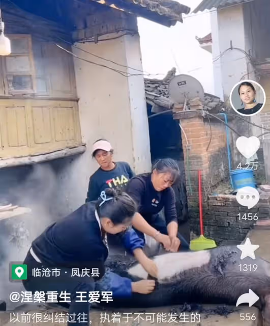 36歲女網紅官宣離婚,深夜哭訴沒得到女兒撫養權,創業也失敗了