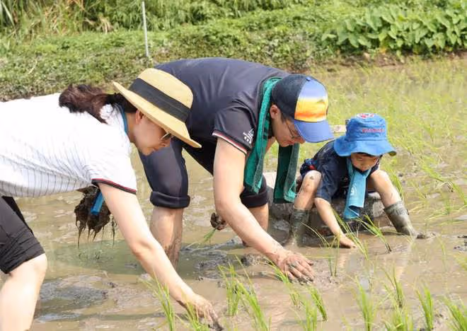 郭晶晶一家回內地爬長城!無保鏢保姆太低調,霍啟剛抱女兒顯父愛