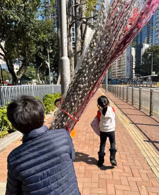 郭晶晶一家回內地爬長城!無保鏢保姆太低調,霍啟剛抱女兒顯父愛