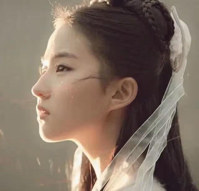 中國標緻的美人臉,劉亦菲劉詩詩李冰冰上榜,你的女神在這嗎?