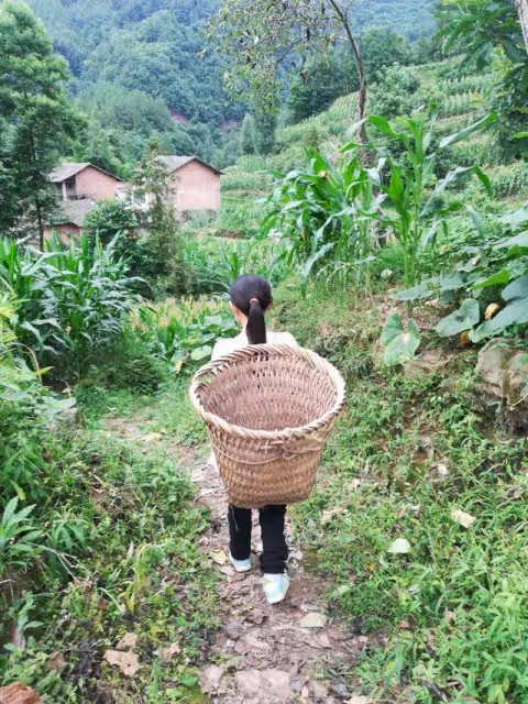「誰娶我就送他一台賓利」浙江億萬女富豪霸氣徵婚,如今咋樣了?