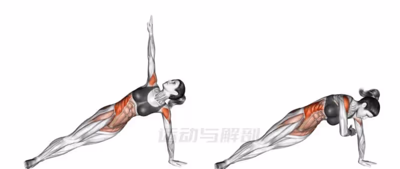 擁有一個好看的肩部是一種什麼樣的體驗