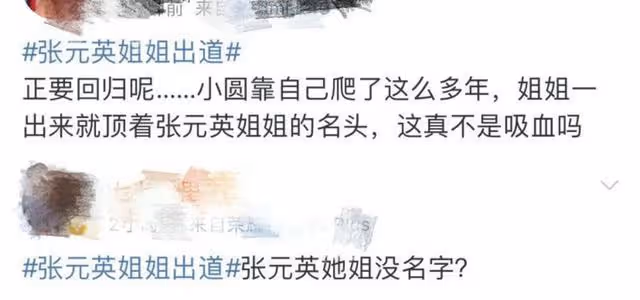 太紅了,所以姐姐也要進圈了?
