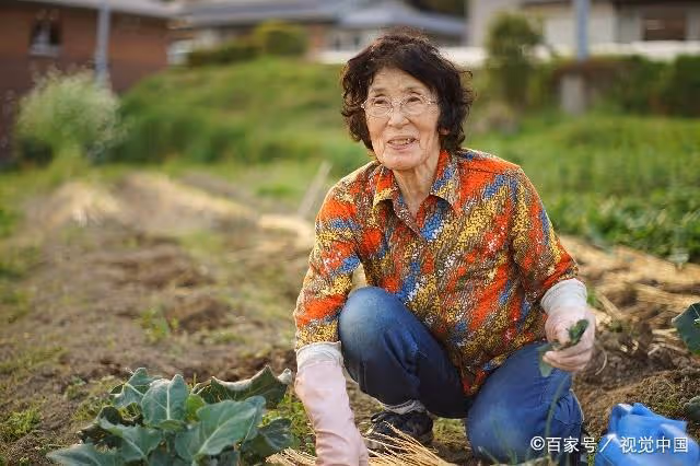 70歲老人每天給全家下餃子:最大的孝順,是讓父母覺得自己還有用