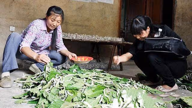 丈夫外出務工3年，剛到家門口看到妻子乾的事，他當即淚流滿面