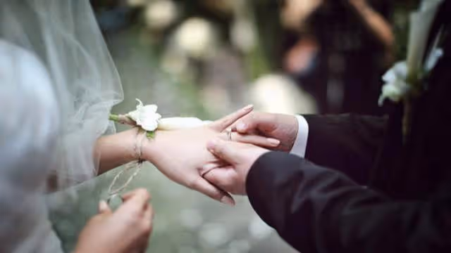 中秋節回鄉下探望公婆,臨走時公婆送半箱月餅,打開一看我愣了