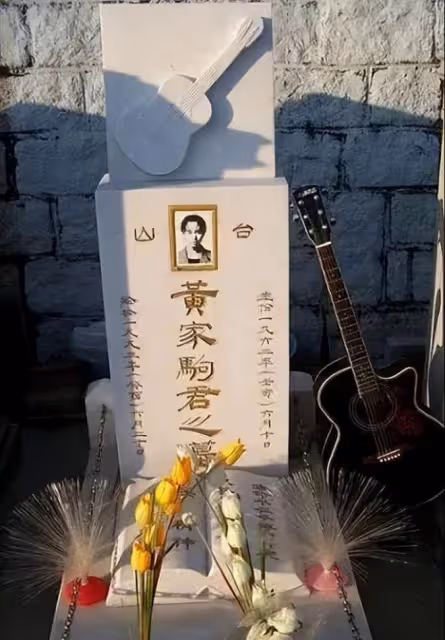 楊臣剛祭拜黃家駒,墳前跪拜惹爭議,曾收徒受三拜九叩大禮被罵慘