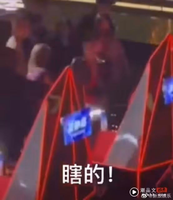 蹭熱度?李玟發飆片段 竟被剪入《聲生不息》正片
