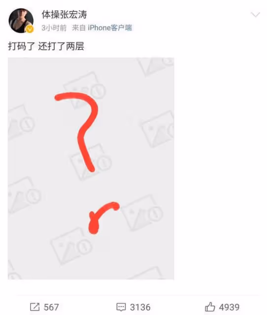 張宏濤：十年比賽無人識，一朝曬圖天下知