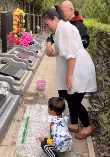 60歲謝東攜孕妻上墳引爭議!太太挺二胎巨肚跪地磕頭,被批沒規矩