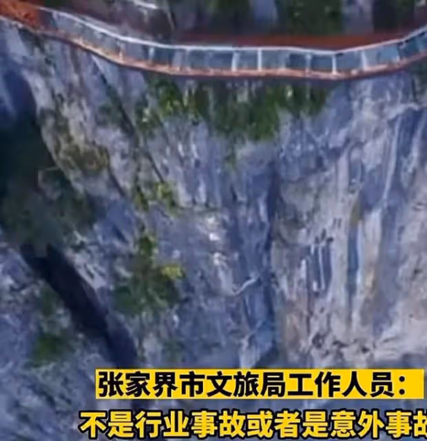 張家界景區跳崖4人身份曝光!輸得起的年紀,卻又輸不起