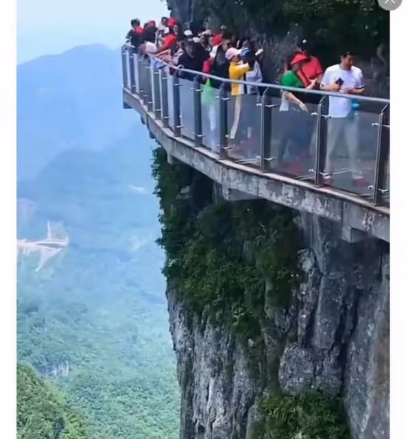 張家界景區跳崖4人身份曝光!輸得起的年紀,卻又輸不起