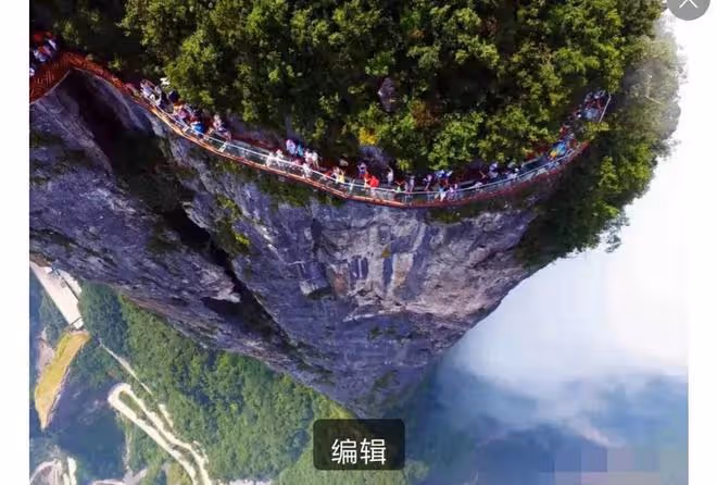 張家界景區跳崖4人身份曝光!輸得起的年紀,卻又輸不起