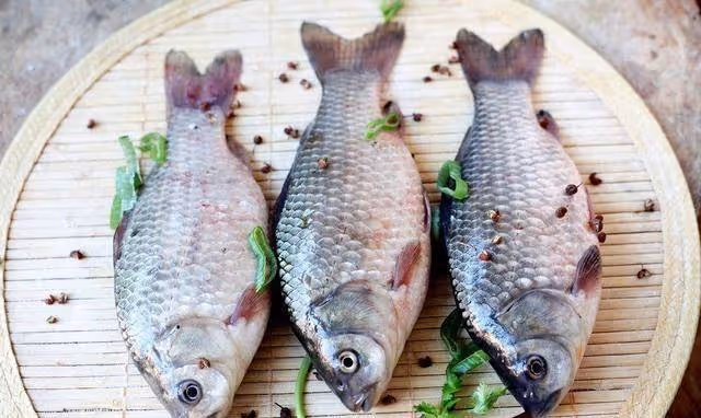 老人經常吃鯽魚去濕氣、助消化，可腥味太重？用上2招不擔心