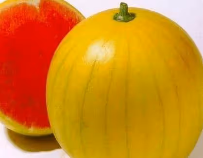 紅瓤西瓜和黃瓤西瓜有什麼區別嗎？看完決定你想吃哪種吧