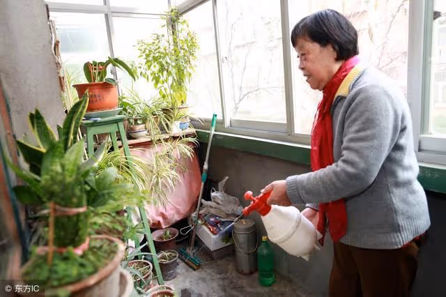 我給岳母買了一個玉手鐲，我藏私房錢的事兒被妻子知道了