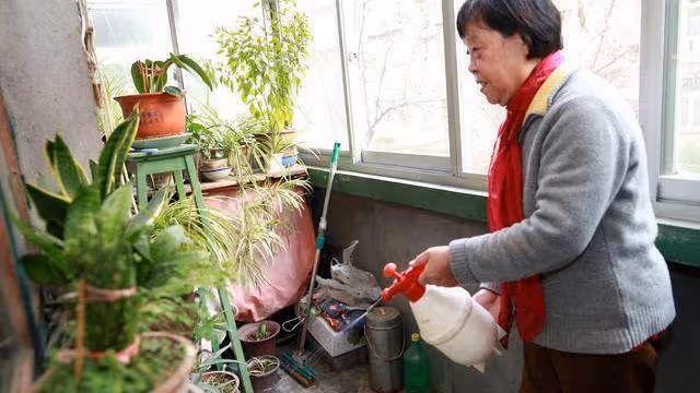 為何會有「女子本弱,為母則剛」的說法,都是因為有個這樣的婆婆