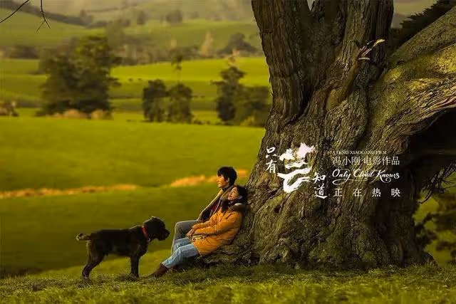 「不可一世」的馮小剛,如今狂不動了