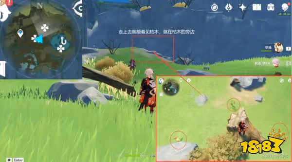 原神風車菊採集地點分享 風車菊採集詳細位置大全