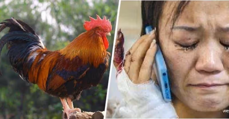坐月子媽媽送來土雞,臨走婆婆塞給她一個薄紅包,回家一打開媽紅了眼!