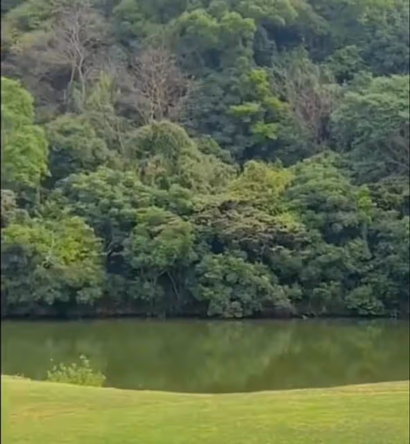 徐靜蕾:美國近況曝光,穿超短裙打球身材好,黃立行也罕見發聲了