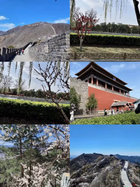 郭晶晶帶3個兒女游故宮爬長城，老大老三正臉曝光，妹妹顏值超高