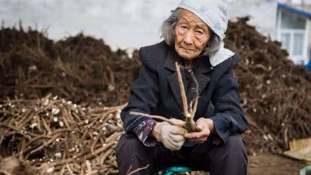 農村母親到兒女家養老，兒子給吃肉，女兒只給吃素，結果兒子樂了