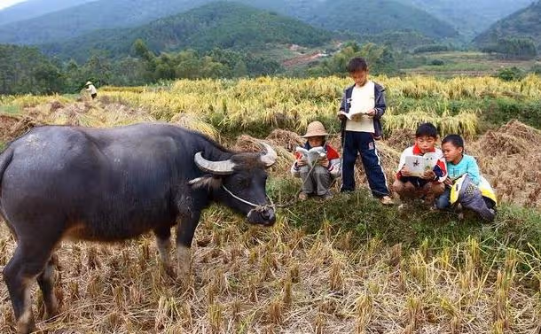 兒子兒媳車禍去世，老人獨自將孫子養大，最後卻得知他不是親孫子