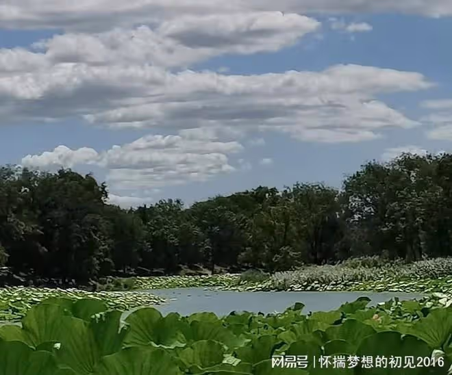 婆婆在兒媳家幫忙時病了，得臥床需要人照顧，兒媳幫她租了房子
