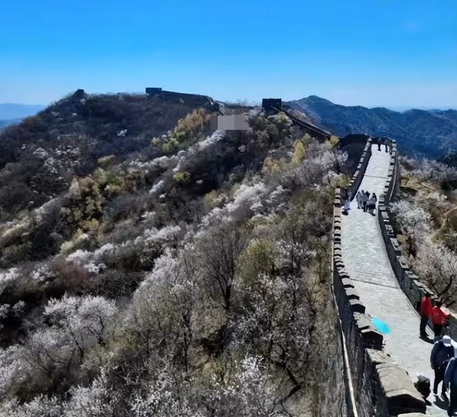 郭晶晶曬一家爬長城逛故宮照片,打扮似普通人,擺高難度傾斜動作