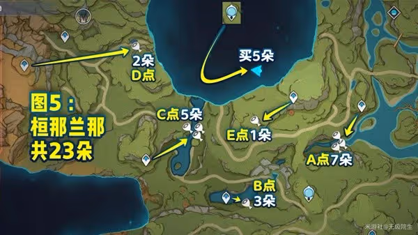 《原神》3.6版本納西妲詳細培養攻略
